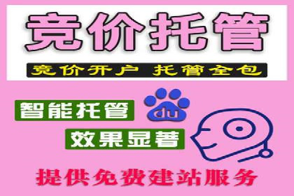 SEM托管公司案例分享：效果营销策略